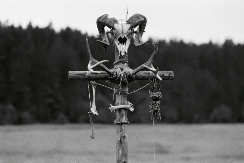 Wooden cross-shaped totem with ram skull and antlers in open field