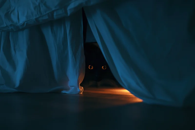 Black cat hiding under bed with glowing amber eyes in dim bedroom at night