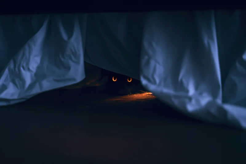 Black cat with glowing amber eyes peeking from under bed sheets in dark bedroom
