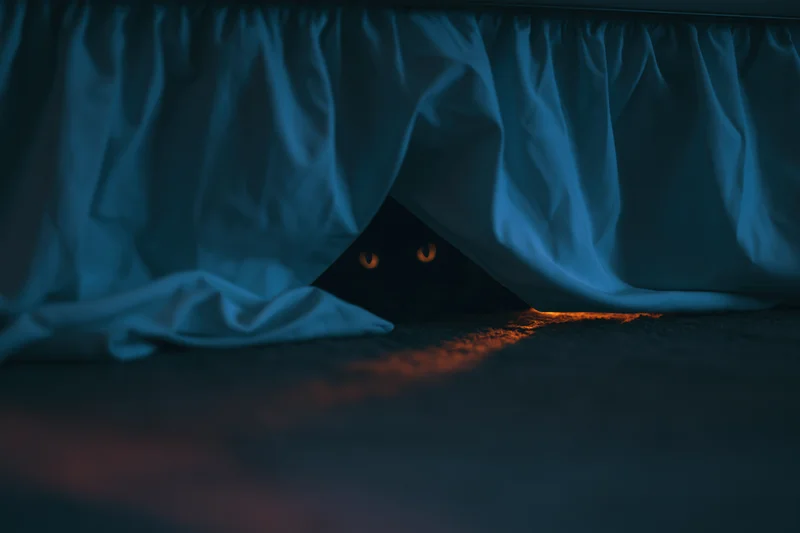 Black cat with glowing amber eyes peeking from under a bed in a dark bedroom