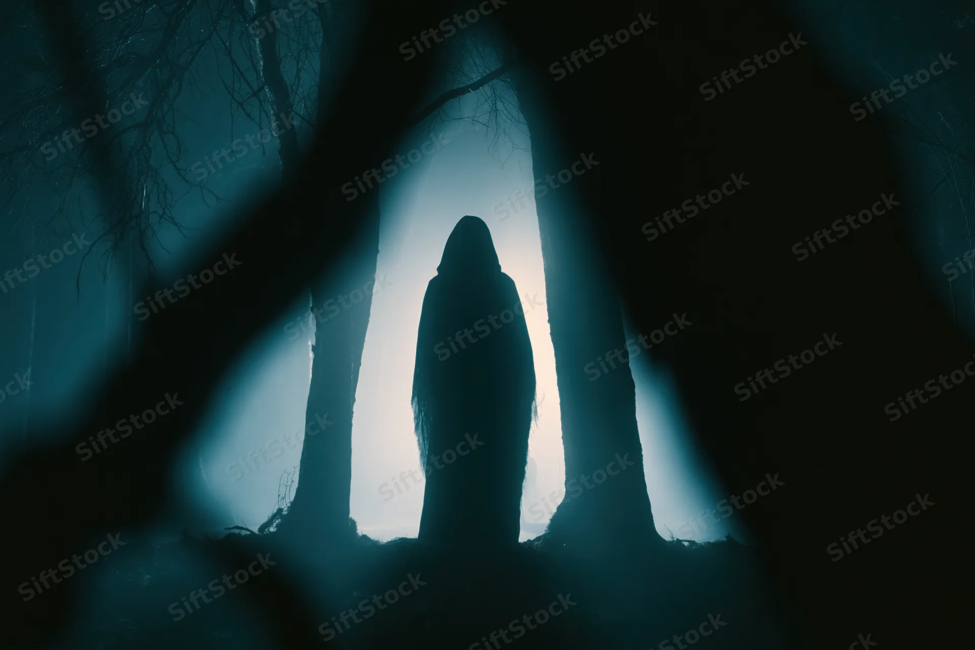 Hooded figure standing motionless between tree trunks in a misty dark forest