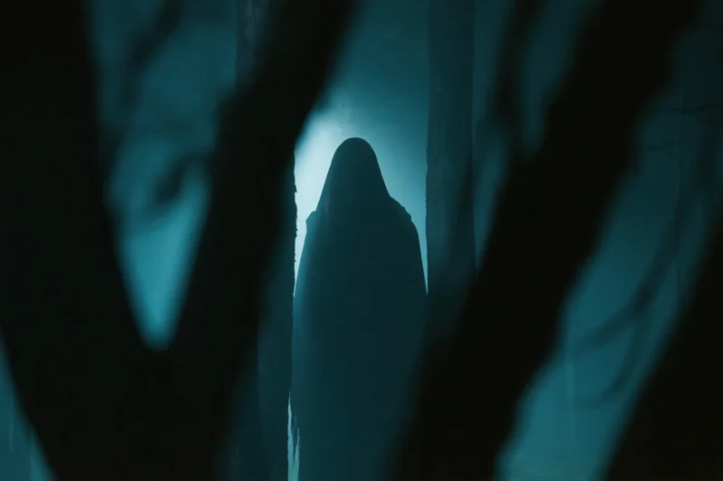 Hooded figure standing motionless between tree trunks in a dark forest
