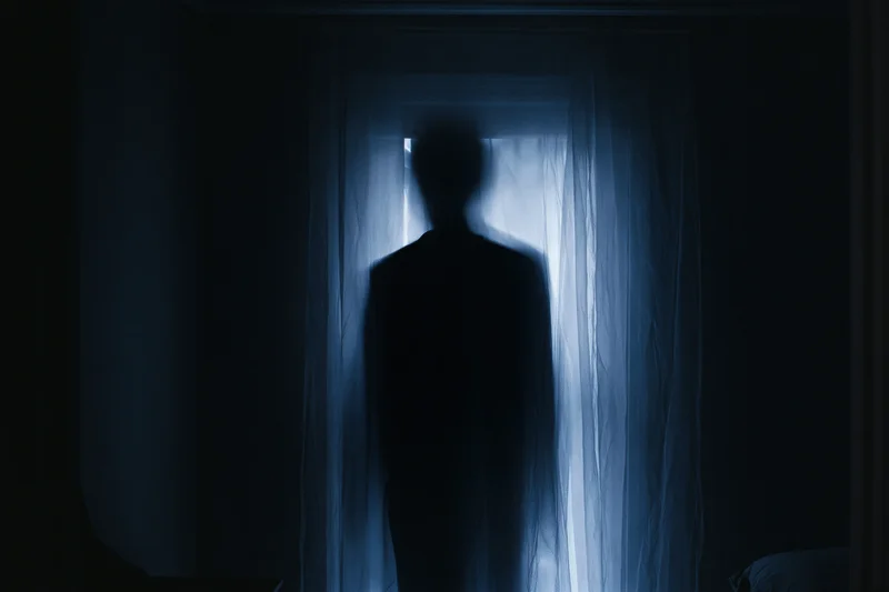 Dark silhouette of a person standing behind sheer curtains in a dimly lit room