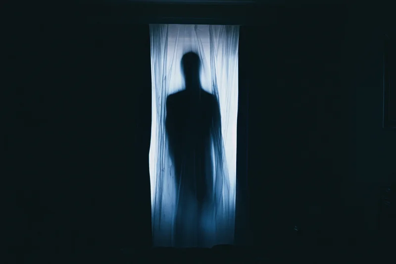 Dark human silhouette behind sheer curtains in dimly lit room at night