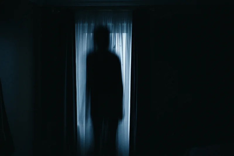 Dark silhouette of a person standing behind sheer curtains in a dimly lit doorway