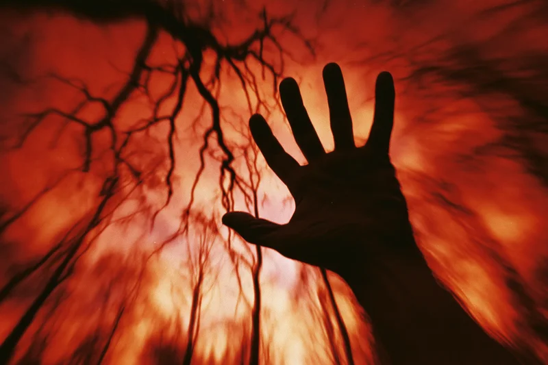 Silhouetted hand reaching upward with fingers spread against a fiery red sky and bare tree branches