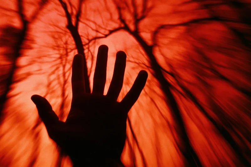 Silhouetted hand reaching upward with fingers spread against a red glowing background resembling tree branches or veins