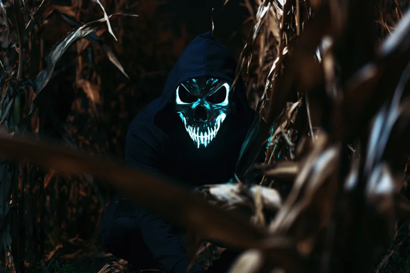 Hooded figure with glowing silver skull mask crouching among dried corn stalks at night