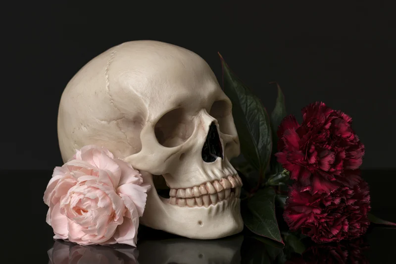 Human skull model beside pink and red peonies on a reflective black surface