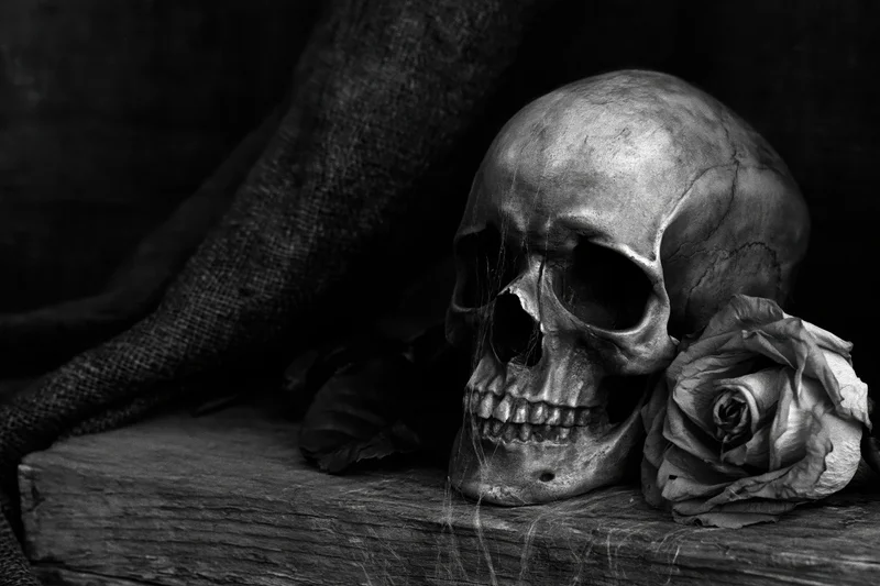Human skull resting on weathered wood beside a withered rose, draped in dark fabric