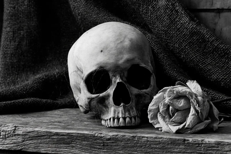 Human skull beside a dried rose on a weathered wooden surface draped with burlap fabric