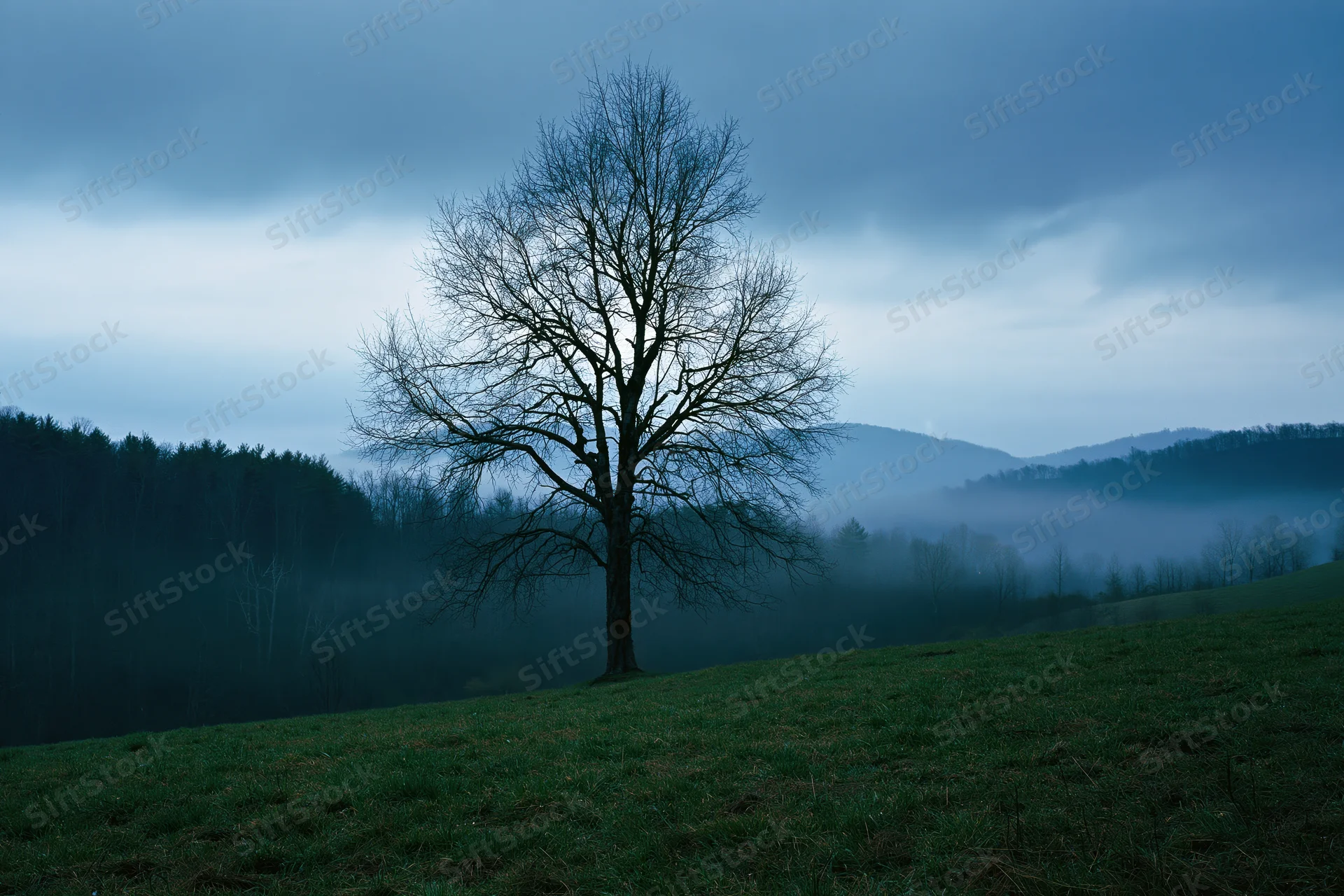Lone bare deciduous tree on a gently sloping green hill under overcast sky with misty mountains in background