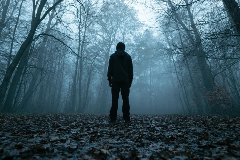 Man in hooded jacket standing still on leaf-covered forest path in fog