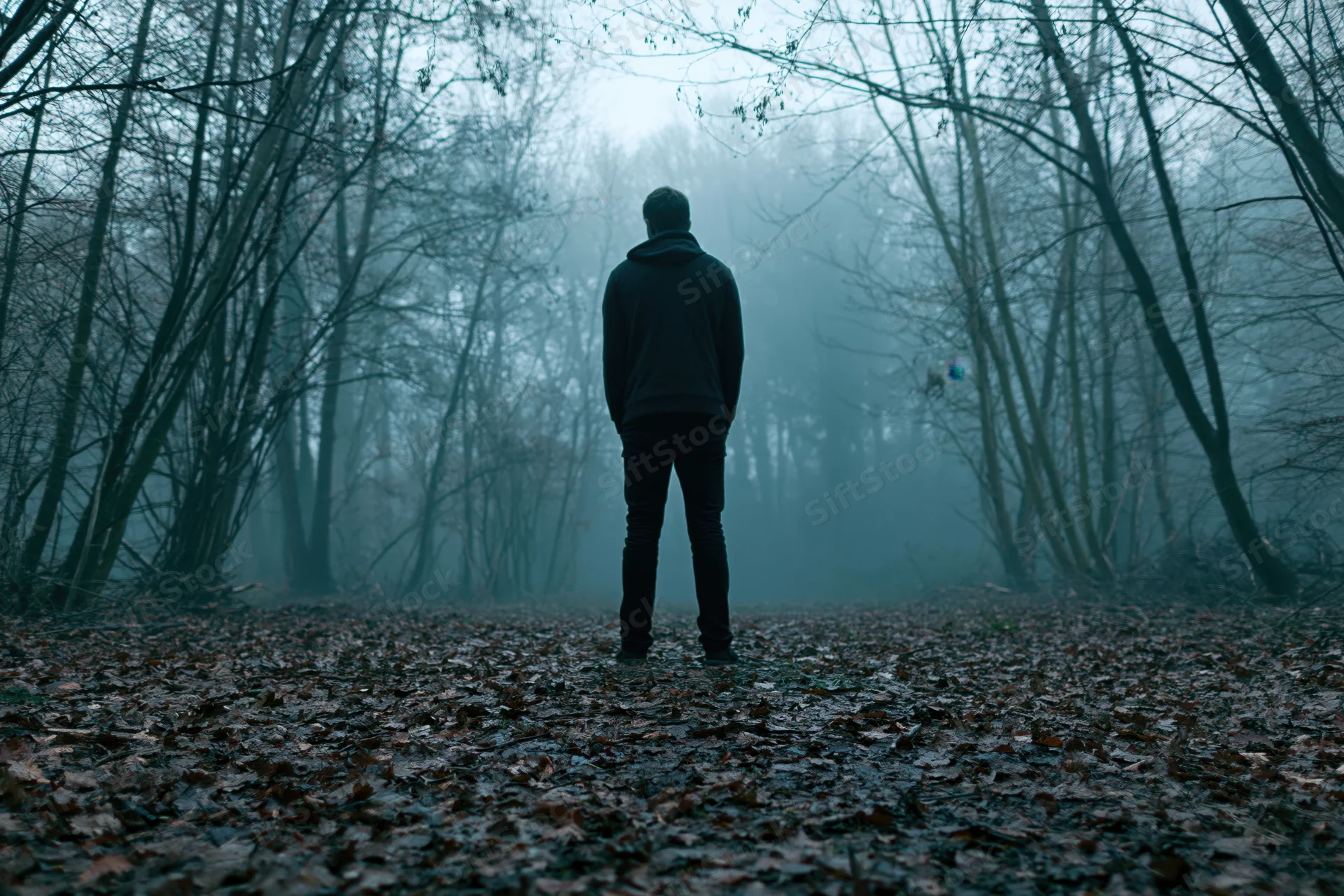 Man standing still on leaf-covered forest path in foggy woodland
