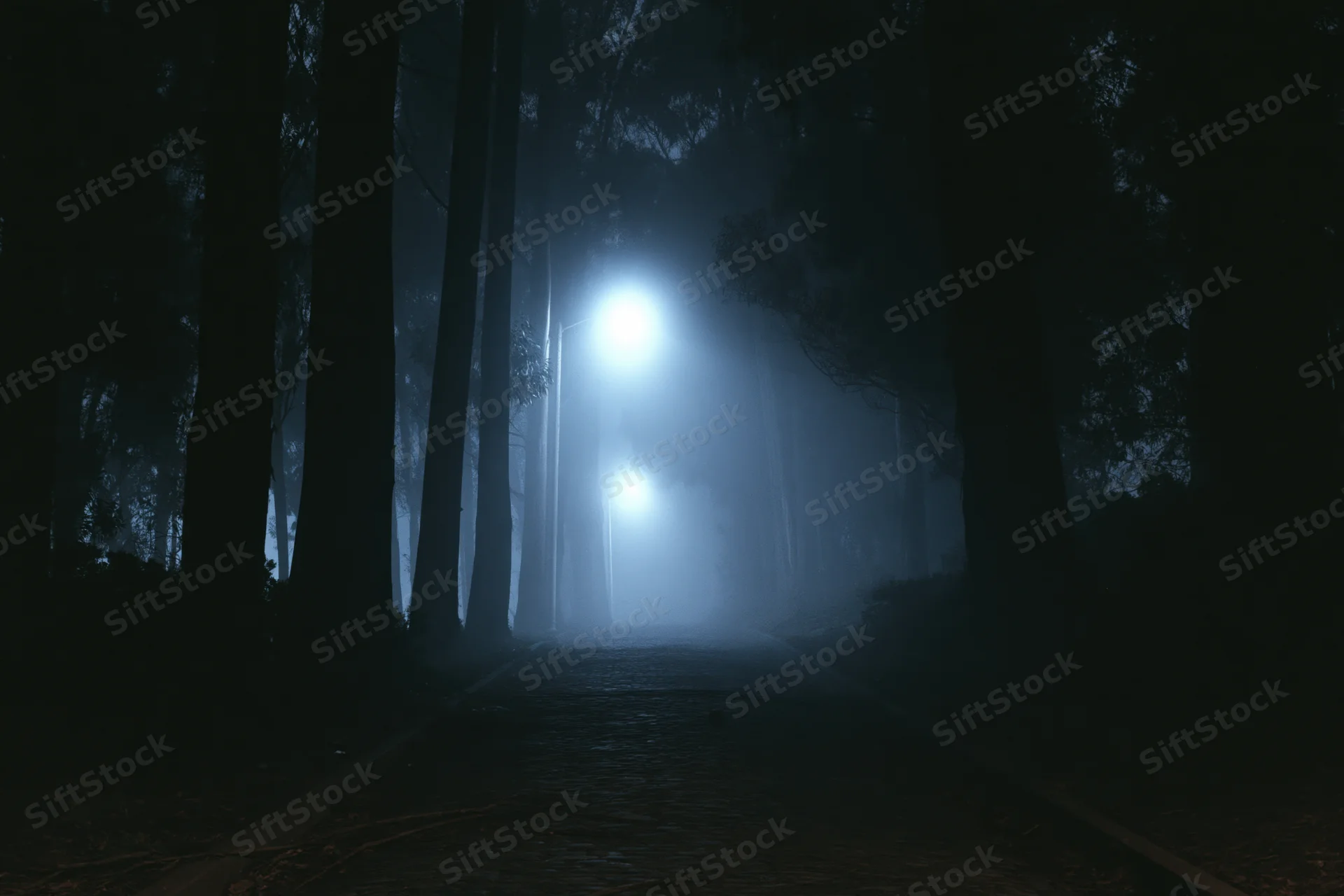 Narrow cobblestone path winding through foggy forest at night with glowing streetlights ahead