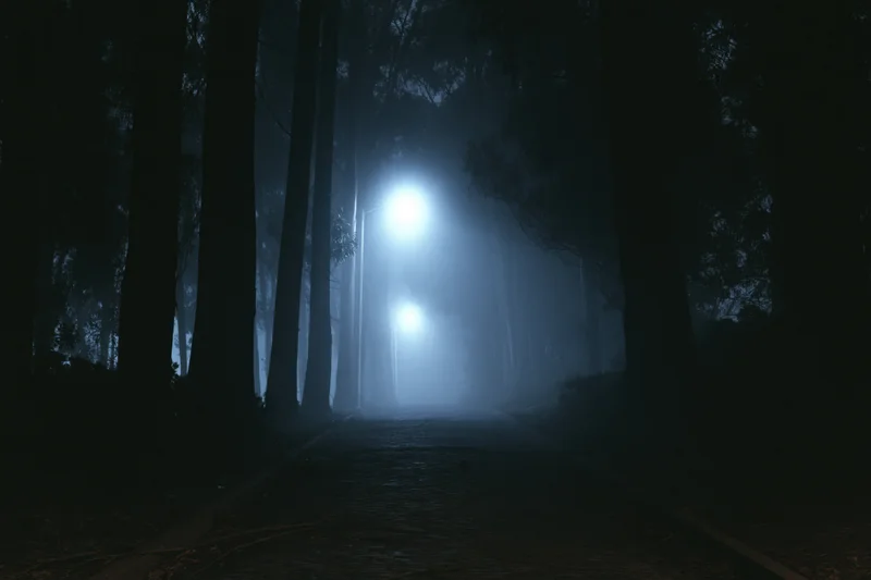Narrow cobblestone path winding through foggy forest at night with glowing streetlights ahead