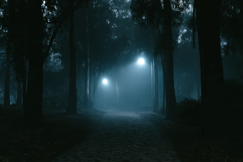 Narrow cobblestone path winding through foggy forest at night, illuminated by distant streetlights