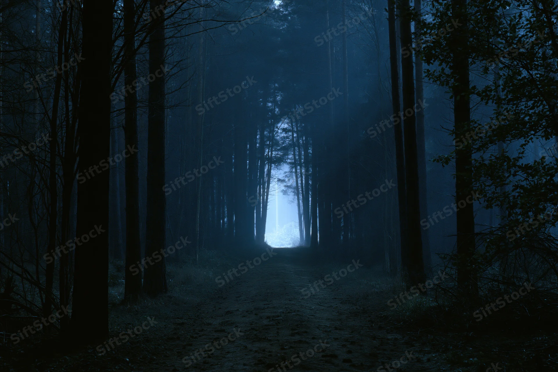 Narrow dirt path through dense forest at night with mist and blue light at end