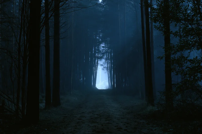Narrow dirt path through dense forest at night with mist and blue light at end