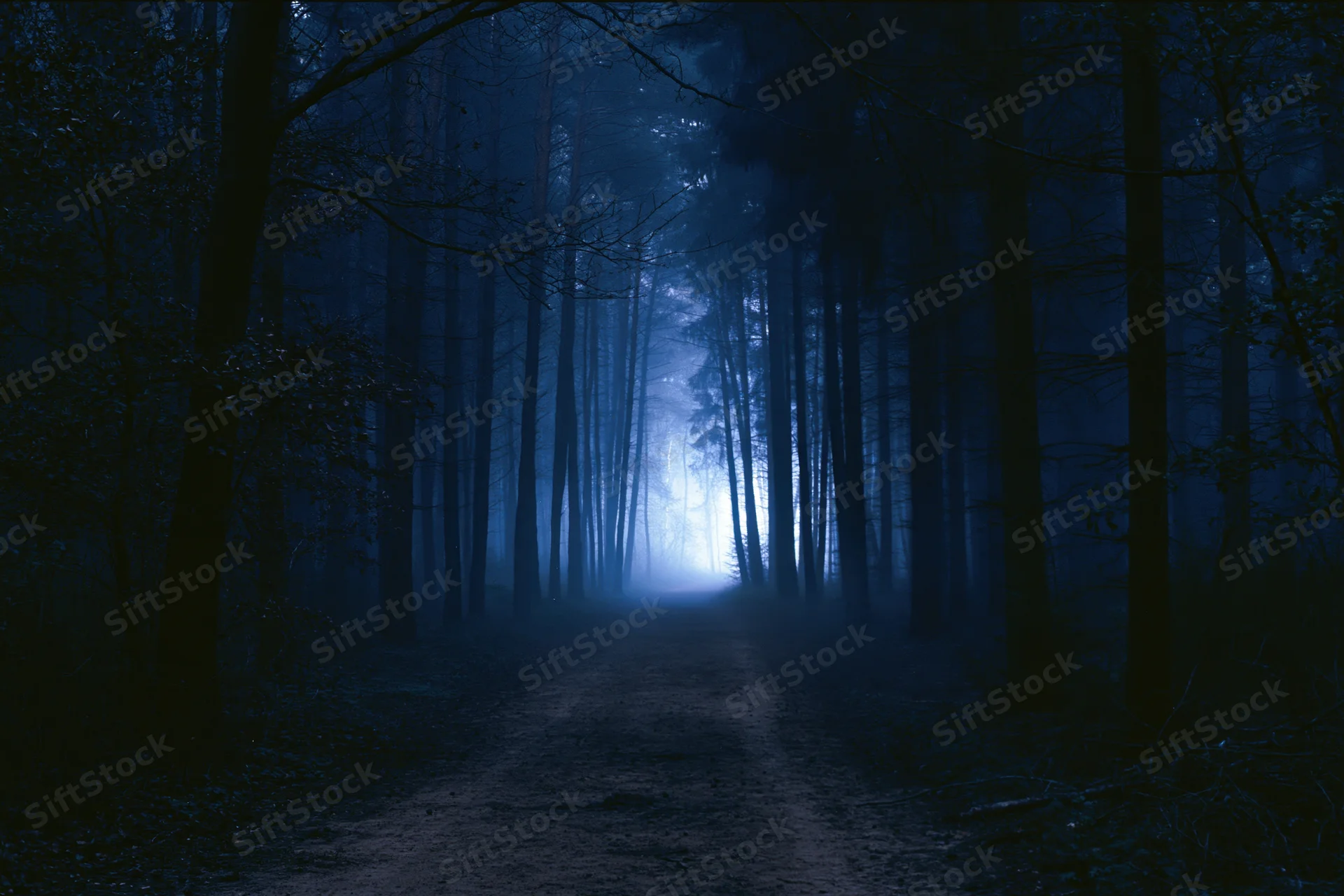 Narrow dirt path through dense forest at night with mist and blue light ahead
