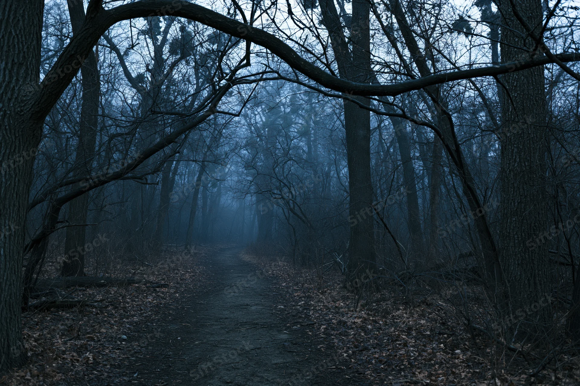 Narrow dirt path winding through foggy forest with bare trees at twilight