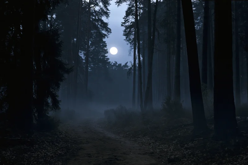 Narrow dirt path winding through dense forest at night under full moon with mist
