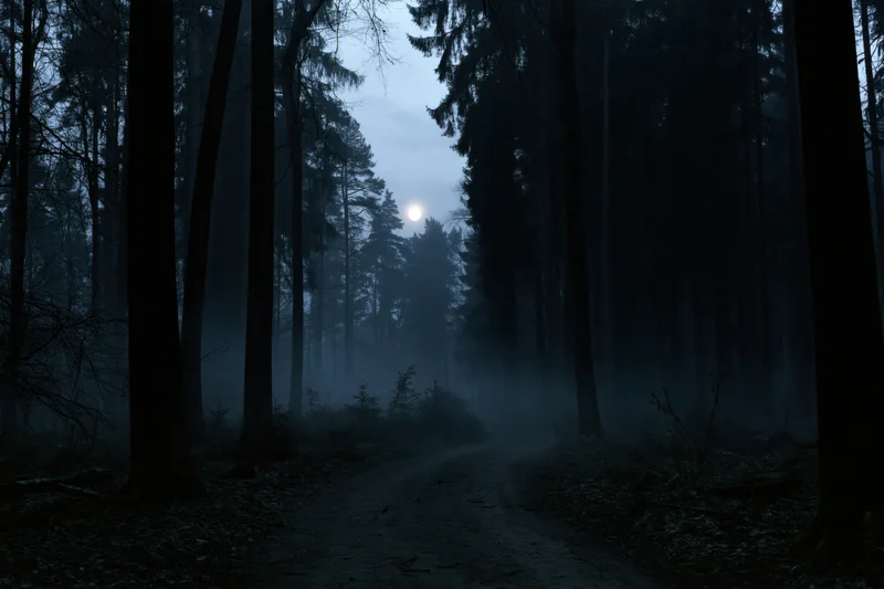 Narrow dirt path winding through dense forest at night under moonlight with fog