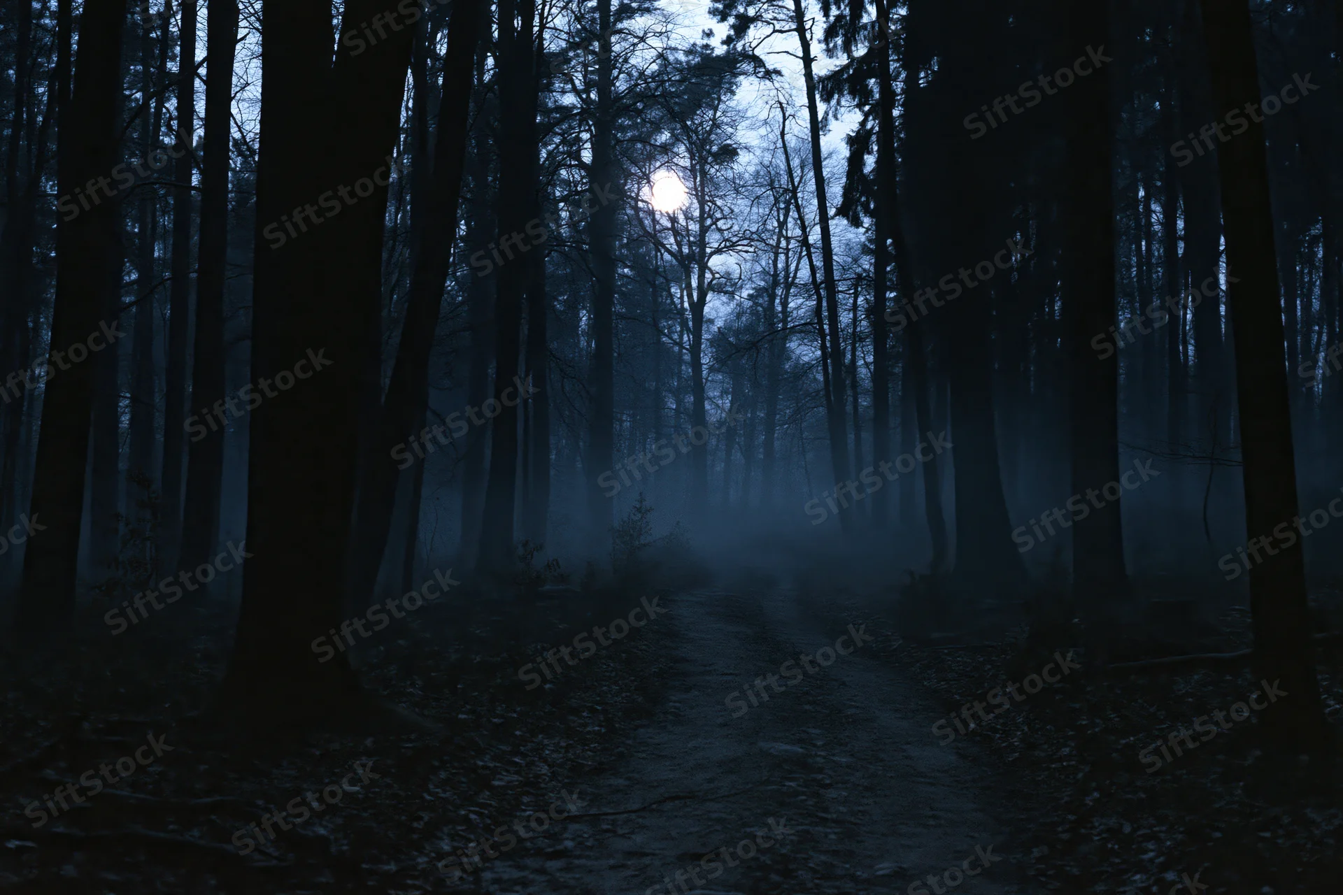 Narrow dirt path winding through dense forest at night under moonlight with mist