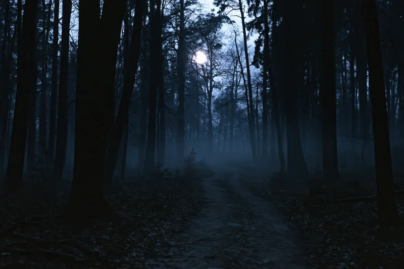 Narrow dirt path winding through dense forest at night under moonlight with mist
