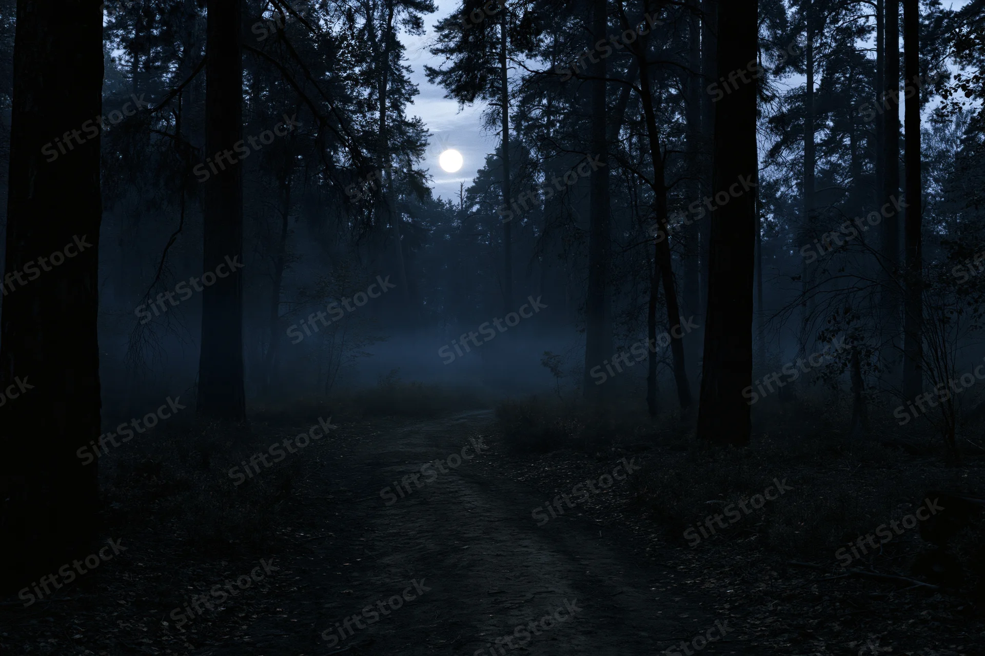 Narrow dirt path winding through dense forest at night under moonlight with mist