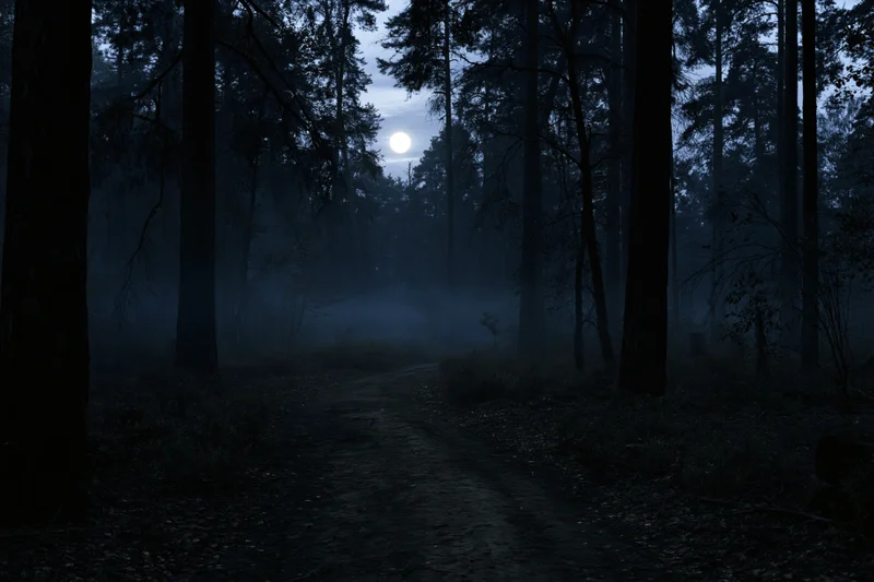 Narrow dirt path winding through dense forest at night under moonlight with mist