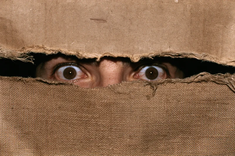 Brown bloodshot eyes peeking through a torn burlap sack