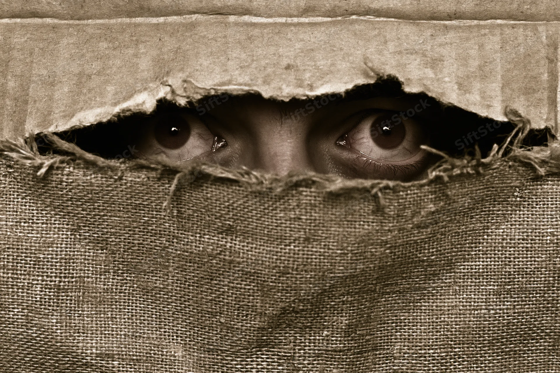Intense eyes staring through a torn burlap sack