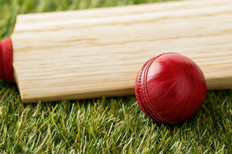 Red leather cricket ball and wooden bat resting on green grass field