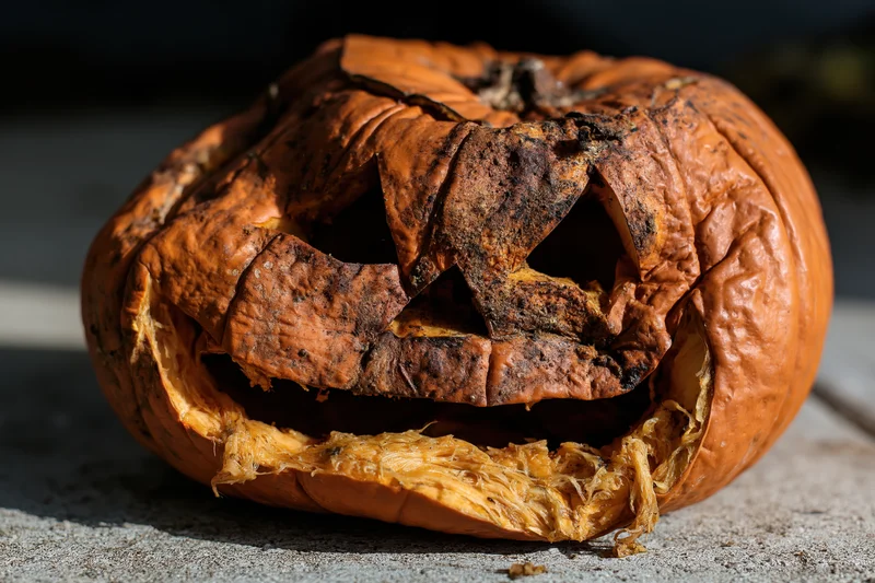 Rotting carved jack-o-lantern lying on concrete surface