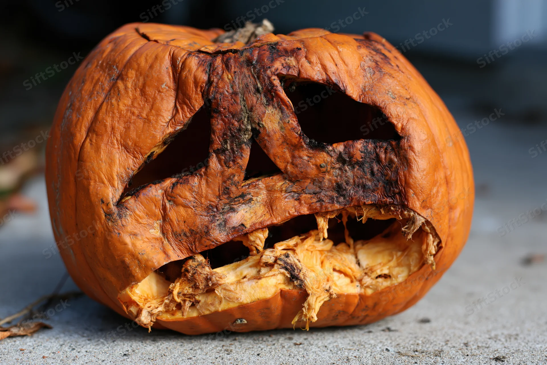 Rotting carved jack-o-lantern lying on concrete surface
