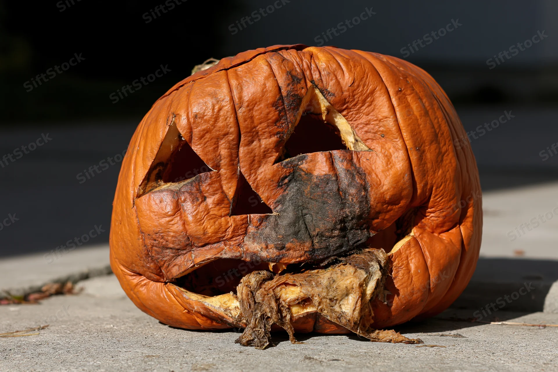 Rotting carved jack-o-lantern lying on concrete pavement outdoors