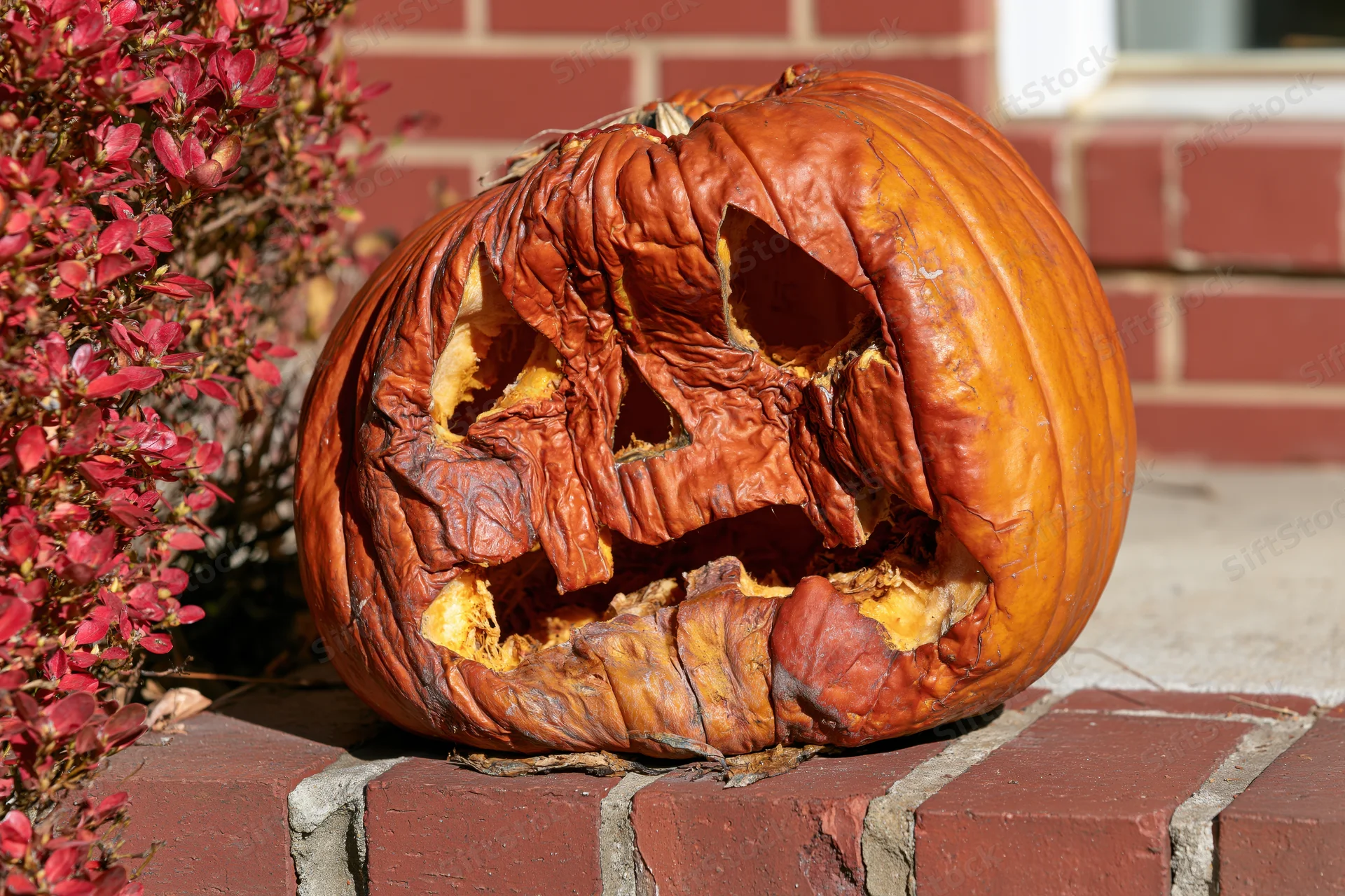Rotting carved jack-o-lantern on brick doorstep beside red foliage