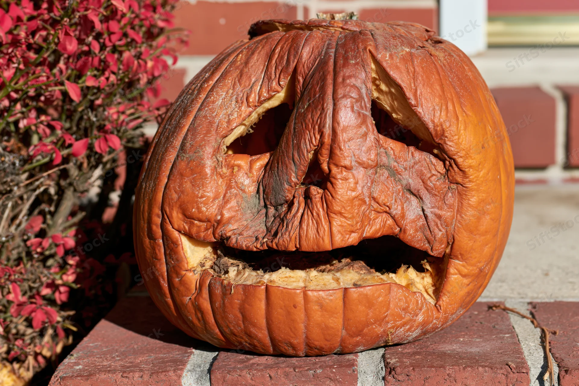 Rotting carved jack-o-lantern on brick doorstep beside red foliage