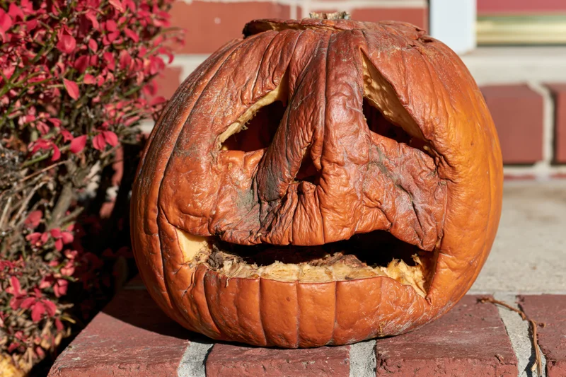 Rotting carved jack-o-lantern on brick doorstep beside red foliage