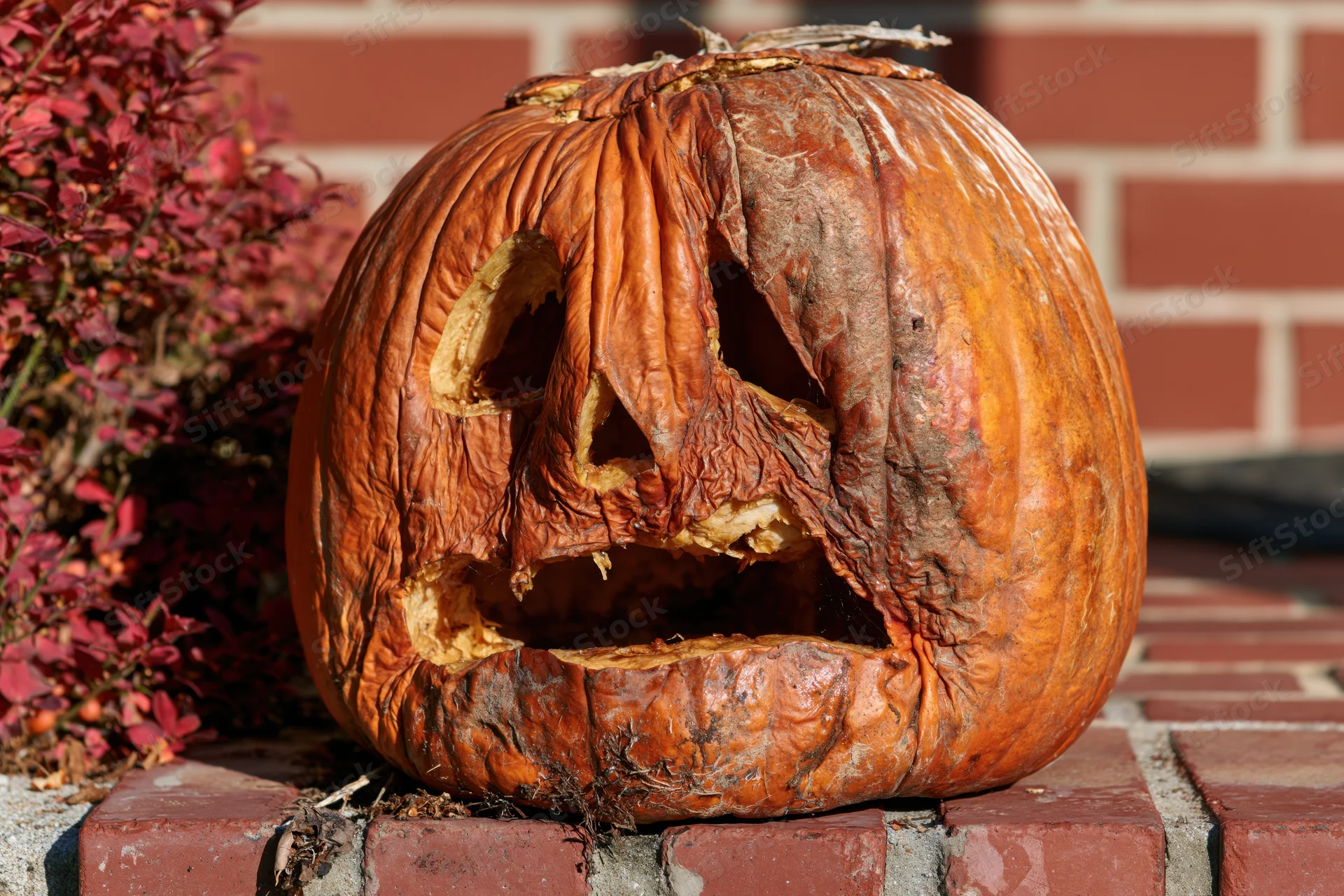 Rotting carved pumpkin on brick doorstep beside red foliage