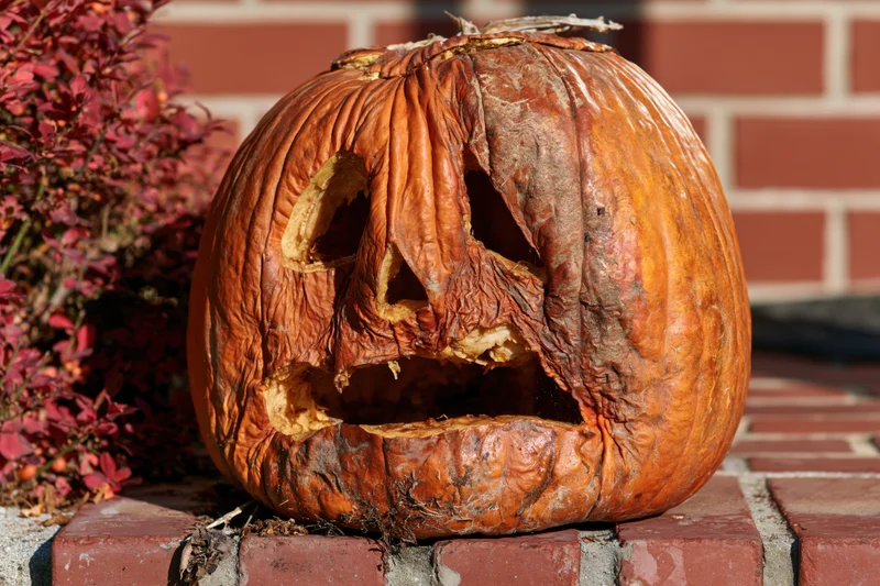 Rotting carved pumpkin on brick doorstep beside red foliage