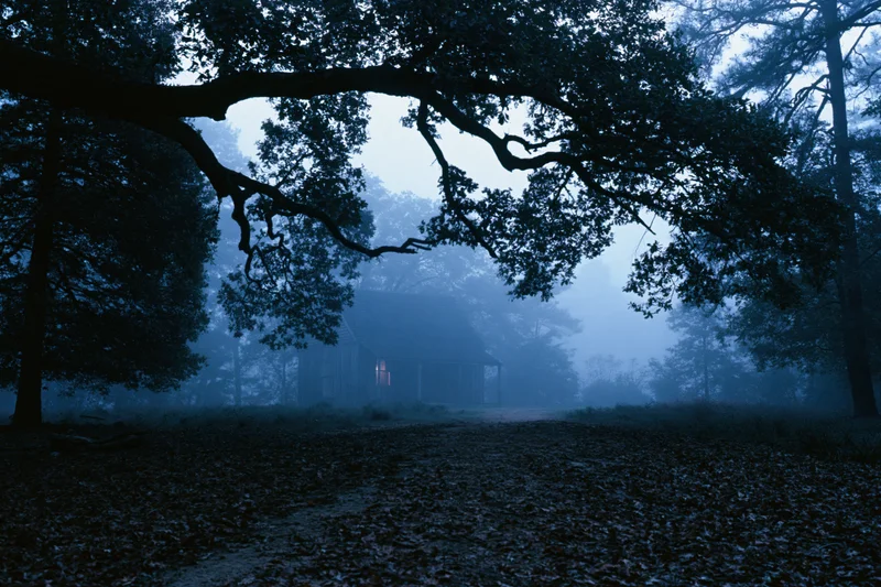 Small wooden chapel half-hidden in dense forest fog at dusk