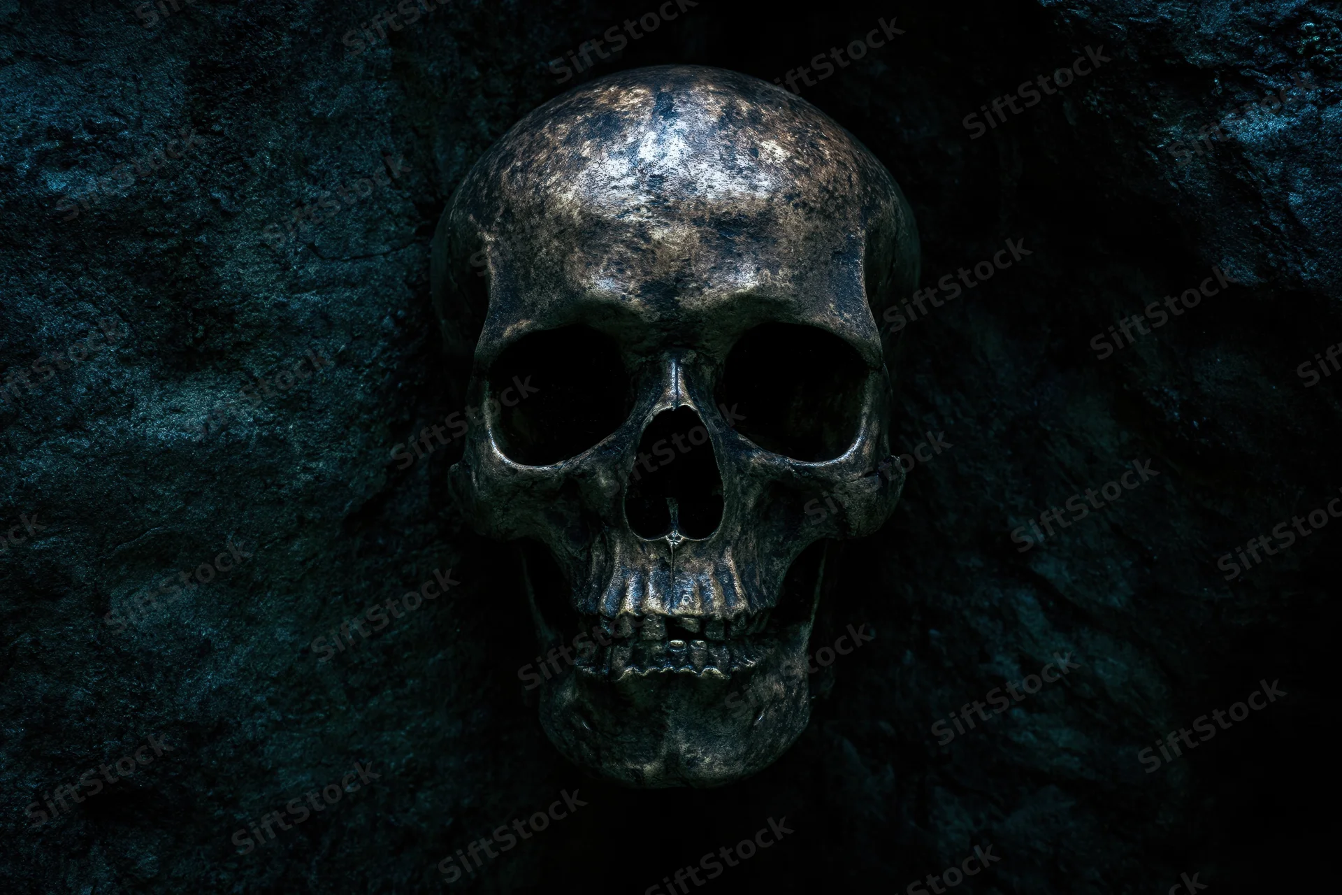 Weathered human skull resting against rough stone wall in dark cave setting