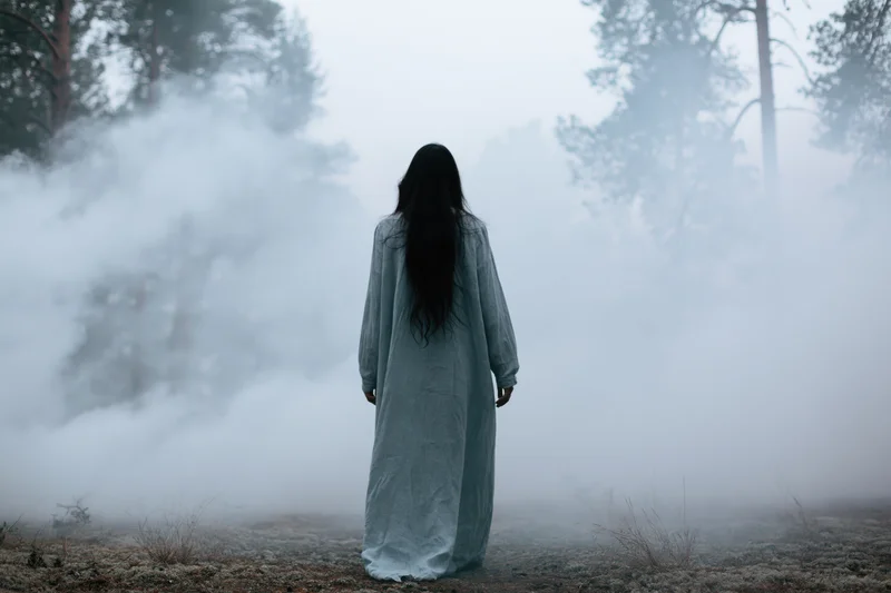 Woman in long gray dress standing with back to camera in foggy forest