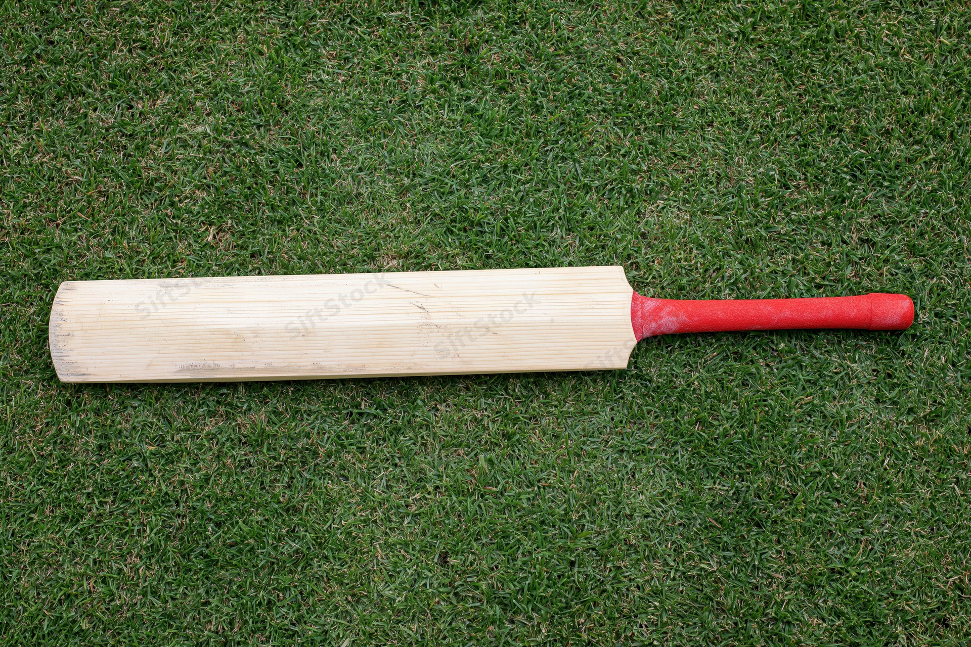 Wooden cricket bat lying flat on short green grass overhead