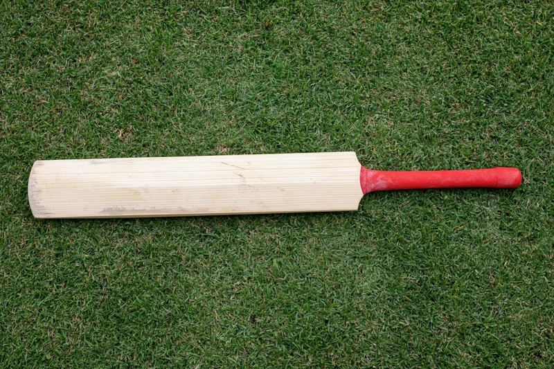 Wooden cricket bat lying flat on short green grass overhead