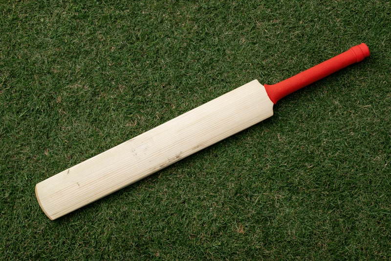 Wooden cricket bat with red handle lying flat on short green grass