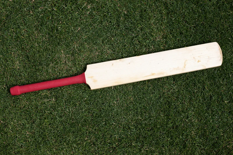Wooden cricket bat lying flat on short green grass overhead