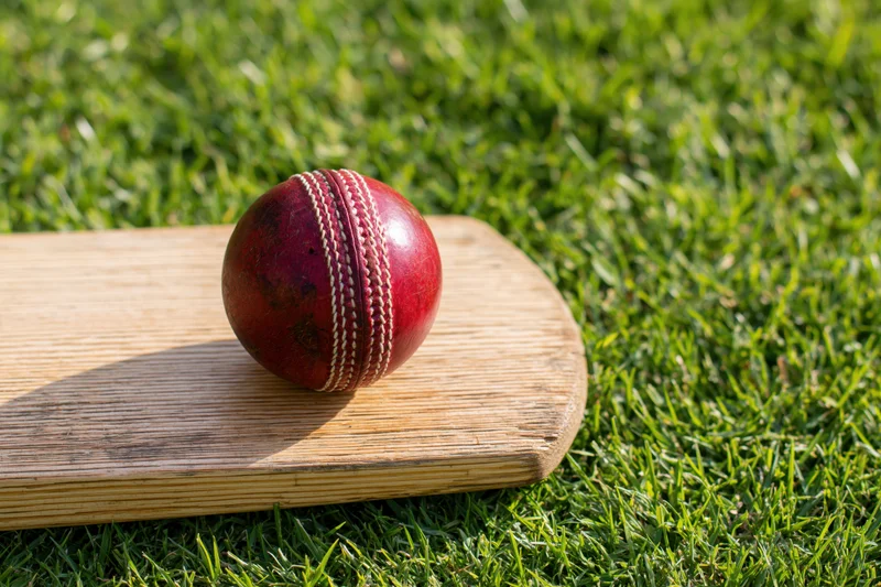 Worn red leather cricket ball resting on wooden bat on grass field